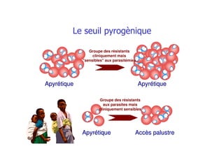ApyrétiqueApyrétique ApyrétiqueApyrétique
Groupe des résistants
aux parasites mais
cliniquement sensibles
ApyrétiqueApyrétique Accès palustreAccès palustre
Groupe des résistants
cliniquement mais
"sensibles" aux parasitémies
 