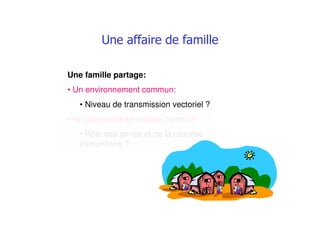 % ## #
Une famille partage:
• Un environnement commun:
• Niveau de transmission vectoriel ?
• Un patrimoine génétique commun:
• Rôle des gènes et de la réponse
immunitaire ?
 