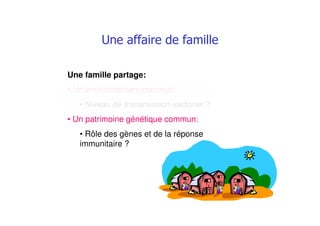 % ## #
Une famille partage:
• Un environnement commun:
• Niveau de transmission vectoriel ?
• Un patrimoine génétique commun:
• Rôle des gènes et de la réponse
immunitaire ?
 
