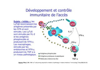 %%
* +* + ,,
- .- .
* +* + /0/0
TNFTNF--
ILIL--22
IFNIFN--
IFNIFN--
Antigènes phosphorylés
Antigènes protéiques et peptidiques
Molécules endotoxines-like
Source: Riley, E. M. 1999. Is T-cell priming required for initiation of pathology in malaria infections ? Immunology Today 20:228-233.
SujetsSujets «« initiinitiééss »»:: lesles
LyTLyT reconnaissent lesreconnaissent les
antigantigèènes prnes préésentsentéés pars par
les CPA et sontles CPA et sont
stimulstimuléés. Les LyTs. Les LyT
sont stimulsont stimuléés par ls par l’’ILIL--22
et les antiget les antigèènesnes
phosphorylphosphorylééss etet
produisent de lproduisent de l’’IFNIFN-- ..
Les macrophages,Les macrophages,
stimulstimuléés par less par les
endotoxines et lendotoxines et l’’IFNIFN-- ,,
produisent du TNFproduisent du TNF-- aa
un niveau pathologique.un niveau pathologique.
" )
*
 