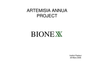 ARTEMISIA ANNUA
PROJECT
Institut Pasteur
29 Mars 2006
BIONEXX
 