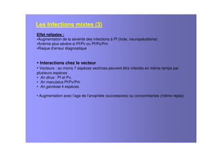 Effet néfastes :
•Augmentation de la sévérité des infections à Pf (Inde, neuropaludisme)
•Anémie plus sévère si Pf/Pv ou Pf/Po/Pm
•Risque d’erreur diagnostique
Interactions chez le vecteur
• Vecteurs : au moins 7 espèces vectrices peuvent être infectés en même temps par
plusieurs espèces
• An dirus : Pf et Pv,
• An maculatus Pf/Pv/Pm
• An gambiae 4 espèces
• Augmentation avec l’age de l’anophèle (successives) ou concomitantes (même repas)
Les Infections mixtes (3)
 