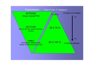 Transmission
INTENSE
Afrique tropicale/PNG
MOYENNE
Asie du Sud Est, Ouest Pacifique,
AmSud
FAIBLE
AmCentrale, Méditérannée
Moyen Orient et Europe de Sud
0 à 20 %
50 à 70 %
80 à 100 %
Ratio P.vivax / P. falciparum
Conditions favorables
Conditions difficiles
Pf
Pv
 