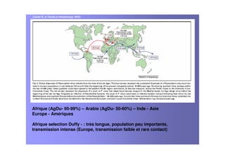 Afrique (AgDu- 95-99%) – Arabie (AgDu- 50-60%) – Inde - Asie
Europe - Amériques
Afrique selection Duffy - : très longue, population peu importante,
transmission intense (Europe, transmission faible et rare contact)
(Carter R, in Trends in Parasitology, 2003)
 