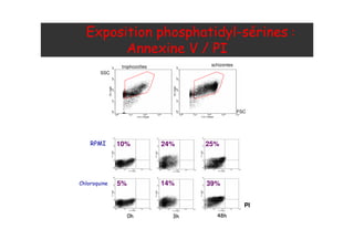 PI
74A H
C ' <3
10%
5% 14%
24% 25%
39%
@+
. + 0 4H
trophozoïtes
SSC
FSC
schizontes
 