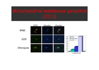 74A H
4
A
EI /G
'
(
)
*
+
,
-
. /
0 1 2
 