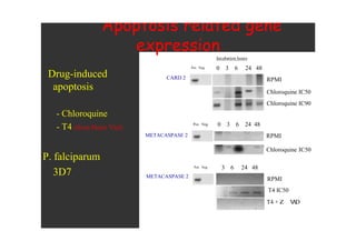 !"# $
!"# %
# !& "# !
' ( ('
!"# $
$
)*+ ,
' ( ('
. "
+
! +"#-! -
. . "
+ !"#
+ /0 1 #"," 2
30 ". !1
4
 