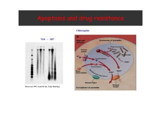. "
+3, 4 5+
'--+ 6 #0 6 1 $
 