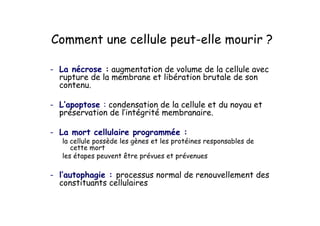 !
"
#
! !
" #
!
$ "$
%
!
 