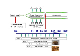 9 E . 3
61 F0
B= 7 1 1
?B &9. !
E
= J G
ABG ABG ABG
5
8 ABG % ?B 9H F-
I &49 @ ?F
J9
B % , 7 %
&E 4&
6 5 5 :
6 , 1 :
I.9
I&4
I&4
G : K 7IJ9
 