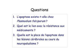 99
/# : + ;
4 !
-# 9 +
!
'# 9
!
 