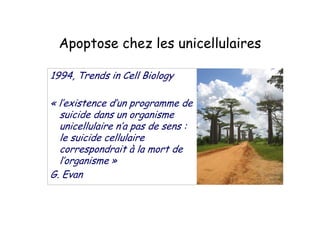 . ;
/88<=> "
+ "
"
"
? #@
 