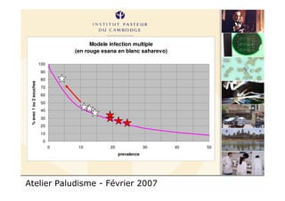 Atelier Paludisme - Février 2007
Modele infection multiple
(en rouge esana en blanc saharevo)
0
10
20
30
40
50
60
70
80
90
100
0 10 20 30 40 50
prevalence
%avec1ou2souches
 