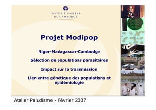 Atelier Paludisme - Février 2007
Projet Modipop
Niger-Madagascar-Cambodge
Sélection de populations parasitaires
Impact sur la transmission
Lien entre génétique des populations et
épidémiologie
 