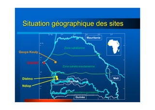 15°
14°
13°
16° N
DAKAR
17° W 16° 15° 14° 13° 12°
Dielmo
Ndiop
Gouye Kouly
Zone sahélienne
Zone sahélo-soudanienne
Zone soudano-guinéenne
Mauritanie
Mali
Guinée
Gambie
Situation gSituation gééographiqueographique des sitesdes sites
 