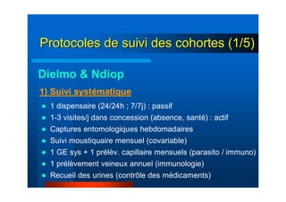 Protocoles de suivi des cohortes (1/5)Protocoles de suivi des cohortes (1/5)
1 dispensaire (24/24h ; 7/7j) : passif
1-3 visites/j dans concession (absence, santé) : actif
Captures entomologiques hebdomadaires
Suivi moustiquaire mensuel (covariable)
1 GE sys + 1 prélèv. capillaire mensuels (parasito / immuno)
1 prélèvement veineux annuel (immunologie)
Recueil des urines (contrôle des médicaments)
1) Suivi systématique
Dielmo & Ndiop
 