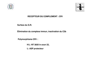 RECEPTEUR DU COMPLEMENT : CR1
Surface du G.R.
Élimination du complexe immun, inactivation du C3b
Polymorphisme CR1 :
H/L: NT 3650 in exon 22,
L: ASP protecteur
 