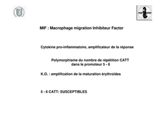 MIF : Macrophage migration Inhibiteur Factor
Cytokine pro-inflammatoire, amplificateur de la réponse
K.O. : amplification de la maturation érythroïdes
Polymorphisme du nombre de répétition CATT
dans le promoteur 5 - 8
5 - 6 CATT: SUSCEPTIBLES
 