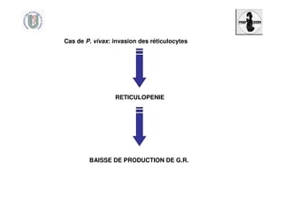 Cas de P. vivax: invasion des réticulocytes
RETICULOPENIE
BAISSE DE PRODUCTION DE G.R.
 
