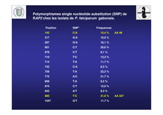 Polymorphismes single nucléotide substitution (SNP) de
RAP2 chez les isolats de P. falciparum gabonais.
Position SNP* Fréquences
142 C/A 15,4 % AA 48
317 G/A 10,0 %
367 G/A 16,1 %
601 C/T 30,6 %
678 C/T 8,1 %
710 T/C 13,3 %
714 T/A 11,7 %
742 C/A 8,3 %
759 T/A 23,3 %
772 A/C 21,7 %
809 T/A 8,3 %
870 C/T 15,0 %
943 A/T 8,3 %
980 T/C 21,6 % AA 327
1047 G/T 11,7 %
 