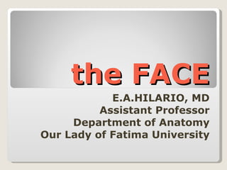 the FACE E.A.HILARIO, MD Assistant Professor Department of Anatomy Our Lady of Fatima University 