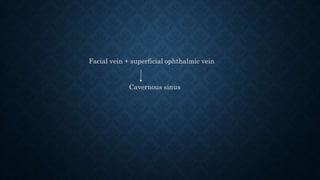 Facial vein + superficial ophthalmic vein
Cavernous sinus
 
