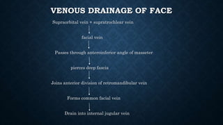 VENOUS DRAINAGE OF FACE
Supraorbital vein + supratrochlear vein
facial vein
Passes through anteroinferior angle of masseter
pierces deep fascia
Joins anterior division of retromandibular vein
Forms common facial vein
Drain into internal jugular vein
 