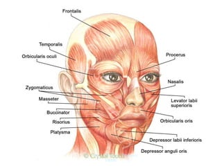 Dr. Siraj A Shirbadgi Professor
VBMC
 