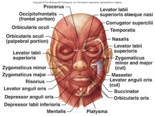 Dr. Siraj A Shirbadgi Professor
VBMC
 