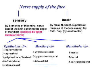 Nerve supply of the face
By facial N. which supplies all
muscles of the face except lev.
Palp. Sup. (by oculomotor)
sensory motor
By branches of trigeminal nerve
except the skin covering the angle
of mandible (supplied by great
auricular nerve)
Ophthalmic div. Maxillary div. Mandibular div.
1-supratrrochlear
2-supraorbital
3-palpebral br. of lacrimal
4-infratrochlear
5-external nasal
1-zygomaticofacial
2-zygomaticotemporal
3-infraorbital
1-mental
2-buccal
3-auriculotemporal
Dr. Siraj A Shirbadgi Professor
VBMC
 
