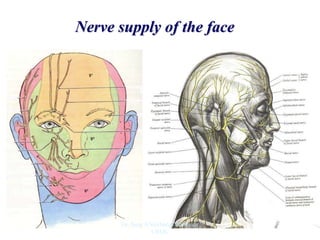 Nerve supply of the face
Dr. Siraj A Shirbadgi Professor
VBMC
 
