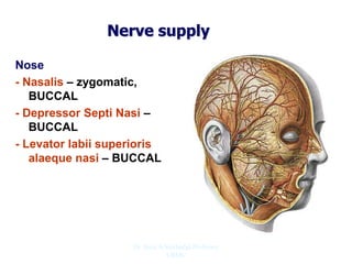 Nerve supply
Nose
- Nasalis – zygomatic,
BUCCAL
- Depressor Septi Nasi –
BUCCAL
- Levator labii superioris
alaeque nasi – BUCCAL
Dr. Siraj A Shirbadgi Professor
VBMC
 