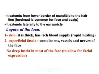- It extends from lower border of mandible to the hair
line (forehead is common for face and scalp)
- It extends laterally to the ear auricle
Layers of the face:
1- skin: it is thick, has rich blood supply (rapid healing)
2- superficial fascia : contains ms, vessels and nerves of
the face
No deep fascia in most of the face (to allow for facial
expression)
Dr. Siraj A Shirbadgi Professor
VBMC
 