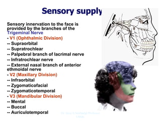 Sensory supply
Sensory innervation to the face is
provided by the branches of the
Trigeminal Nerve
- V1 (Ophthalmic Division)
-- Supraorbital
-- Supratrochlear
-- Palpebral branch of lacrimal nerve
-- Infratrochlear nerve
-- External nasal branch of anterior
ethmoidal nerve
- V2 (Maxillary Division)
-- Infraorbital
-- Zygomaticofacial
-- Zygomaticotemporal
- V3 (Mandibular Division)
-- Mental
-- Buccal
-- Auriculotemporal Dr. Siraj A Shirbadgi Professor
VBMC
 