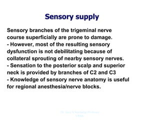 Sensory supply
Sensory branches of the trigeminal nerve
course superficially are prone to damage.
- However, most of the resulting sensory
dysfunction is not debilitating because of
collateral sprouting of nearby sensory nerves.
- Sensation to the posterior scalp and superior
neck is provided by branches of C2 and C3
- Knowledge of sensory nerve anatomy is useful
for regional anesthesia/nerve blocks.
Dr. Siraj A Shirbadgi Professor
VBMC
 