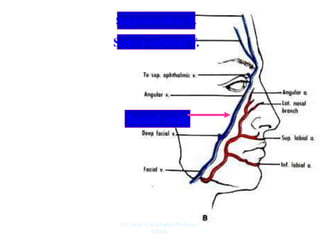 Supratrochlear V.
Supra-orbital V.
facial vein
Dr. Siraj A Shirbadgi Professor
VBMC
 