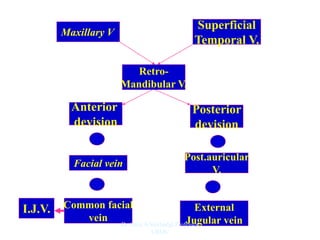 Superficial
Temporal V.
Maxillary V.
Retro-
Mandibular V.
Post.auricular
V.
Facial vein
Posterior
devision
Anterior
devision
+
+
Common facial
vein
=
External
Jugular vein
=
I.J.V.
Dr. Siraj A Shirbadgi Professor
VBMC
 
