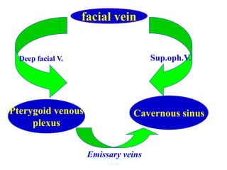 facial vein
Pterygoid venous
plexus
Cavernous sinus
Emissary veins
Deep facial V. Sup.oph.V.
Dr. Siraj A Shirbadgi Professor
VBMC
 