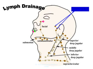 Parotid L.N.
Dr. Siraj A Shirbadgi Professor
VBMC
 
