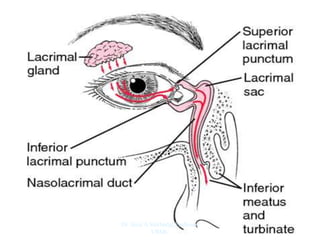 Dr. Siraj A Shirbadgi Professor
VBMC
 