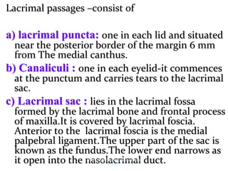 Lacrimal passages –consist of
a) lacrimal puncta: one in each lid and situated
near the posterior border of the margin 6 mm
from The medial canthus.
b) Canaliculi : one in each eyelid-it commences
at the punctum and carries tears to the lacrimal
sac.
c) Lacrimal sac : lies in the lacrimal fossa
formed by the lacrimal bone and frontal process
of maxilla.It is covered by lacrimal foscia.
Anterior to the lacrimal foscia is the medial
palpebral ligament.The upper part of the sac is
known as the fundus.The lower end narrows as
it open into the nasolacrimal duct.
Dr. Siraj A Shirbadgi Professor
VBMC
 