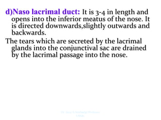 d)Naso lacrimal duct: It is 3-4 in length and
opens into the inferior meatus of the nose. It
is directed downwards,slightly outwards and
backwards.
The tears which are secreted by the lacrimal
glands into the conjunctival sac are drained
by the lacrimal passage into the nose.
Dr. Siraj A Shirbadgi Professor
VBMC
 
