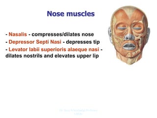 Nose muscles
- Nasalis - compresses/dilates nose
- Depressor Septi Nasi - depresses tip
- Levator labii superioris alaeque nasi -
dilates nostrils and elevates upper lip
Dr. Siraj A Shirbadgi Professor
VBMC
 