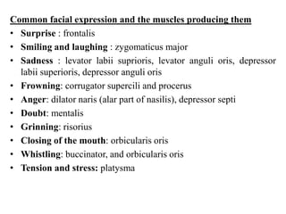 Common facial expression and the muscles producing them
• Surprise : frontalis
• Smiling and laughing : zygomaticus major
• Sadness : levator labii suprioris, levator anguli oris, depressor
labii superioris, depressor anguli oris
• Frowning: corrugator supercili and procerus
• Anger: dilator naris (alar part of nasilis), depressor septi
• Doubt: mentalis
• Grinning: risorius
• Closing of the mouth: orbicularis oris
• Whistling: buccinator, and orbicularis oris
• Tension and stress: platysma

 