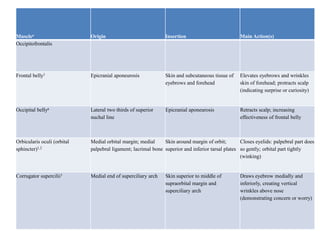 Musclea
Occipitofrontalis

Origin

Insertion

Main Action(s)

Frontal belly1

Epicranial aponeurosis

Skin and subcutaneous tissue of
eyebrows and forehead

Elevates eyebrows and wrinkles
skin of forehead; protracts scalp
(indicating surprise or curiosity)

Occipital bellya

Lateral two thirds of superior
nuchal line

Epicranial aponeurosis

Retracts scalp; increasing
effectiveness of frontal belly

Orbicularis oculi (orbital
sphincter)1,2

Medial orbital margin; medial
Skin around margin of orbit;
Closes eyelids: palpebral part does
palpebral ligament; lacrimal bone superior and inferior tarsal plates so gently; orbital part tightly
(winking)

Corrugator supercilii1

Medial end of superciliary arch

Skin superior to middle of
supraorbital margin and
superciliary arch

Draws eyebrow medially and
inferiorly, creating vertical
wrinkles above nose
(demonstrating concern or worry)

 