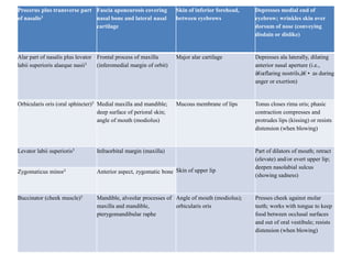 Procerus plus transverse part Fascia aponeurosis covering
of nasalis3
nasal bone and lateral nasal
cartilage

Skin of inferior forehead,
between eyebrows

Depresses medial end of
eyebrow; wrinkles skin over
dorsum of nose (conveying
disdain or dislike)

Alar part of nasalis plus levator Frontal process of maxilla
labii superioris alaeque nasii3
(inferomedial margin of orbit)

Major alar cartilage

Depresses ala laterally, dilating
anterior nasal aperture (i.e.,
â€œflaring nostrils,â€• as during
anger or exertion)

Orbicularis oris (oral sphincter)3 Medial maxilla and mandible;
deep surface of perioral skin;
angle of mouth (modiolus)

Mucous membrane of lips

Tonus closes rima oris; phasic
contraction compresses and
protrudes lips (kissing) or resists
distension (when blowing)

Levator labii superioris3

Infraorbital margin (maxilla)

Zygomaticus minor3

Anterior aspect, zygomatic bone Skin of upper lip

Buccinator (cheek muscle)3

Mandible, alveolar processes of Angle of mouth (modiolus);
maxilla and mandible,
orbicularis oris
pterygomandibular raphe

Part of dilators of mouth; retract
(elevate) and/or evert upper lip;
deepen nasolabial sulcus
(showing sadness)

Presses cheek against molar
teeth; works with tongue to keep
food between occlusal surfaces
and out of oral vestibule; resists
distension (when blowing)

 