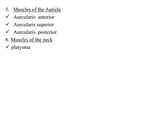 5. Muscles of the Auricle
 Aurcularis anterior
 Aurcularis superior
 Aurcularis posterior
6. Muscles of the neck
 platysma

 