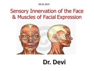 Sensory Innervation of the Face
& Muscles of Facial Expression
08-04-2019
 