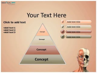 Face Anatomy PowerPoint Templates