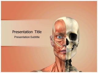 Face Anatomy PowerPoint Templates